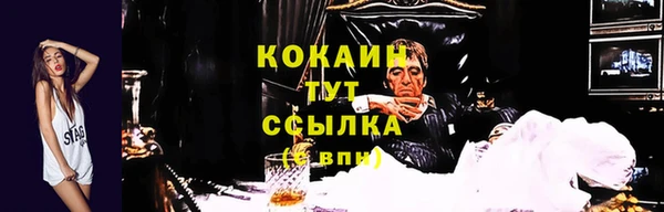 эйфоретик Арсеньев